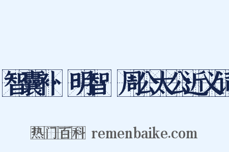 智囊补·明智·周公太公近义词是什么意思的图片